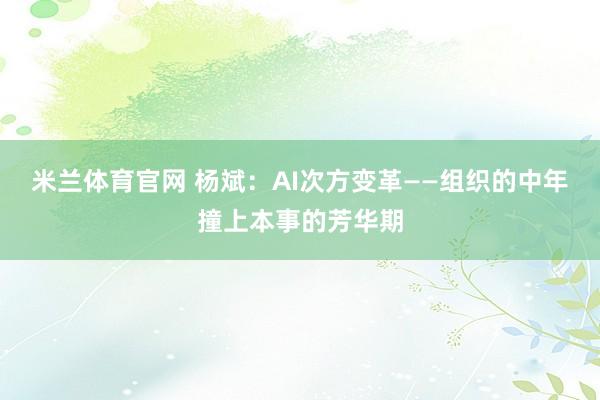 米兰体育官网 杨斌：AI次方变革——组织的中年撞上本事的芳华期