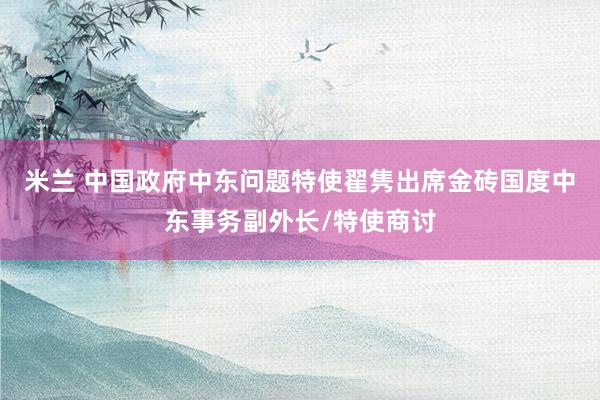 米兰 中国政府中东问题特使翟隽出席金砖国度中东事务副外长/特使商讨
