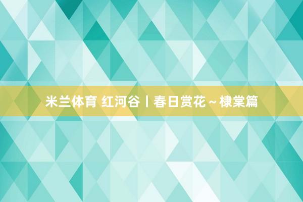 米兰体育 红河谷丨春日赏花～棣棠篇