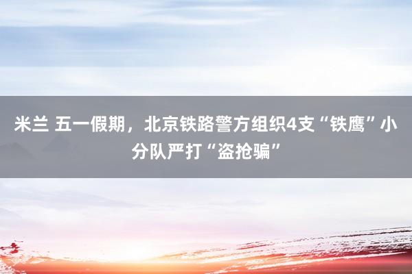米兰 五一假期，北京铁路警方组织4支“铁鹰”小分队严打“盗抢骗”